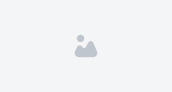 Category placeholder